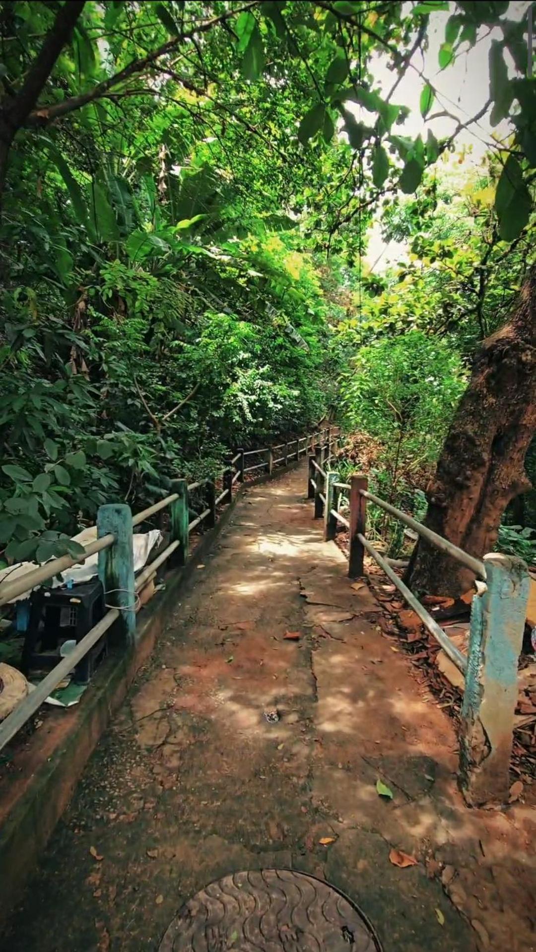 Hostel Chico Lessa Vitória Buitenkant foto